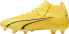 Puma Buty piłkarskie Puma Ultra Pro FG/AG 107422 04 43