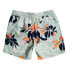 BILLABONG Vacay Swimming Shorts