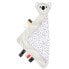 CANPOL Cuddle Toy-Blanket with a Soother Clip Babiesboo 68/087 teddy