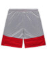 Men's Scarlet/Silver San Francisco 49ers Big Tall Team Logo Shorts