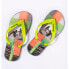 Сланцы Ipanema Classic X Flip Flops