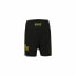 Спортивные мужские шорты Everlast Copen Woven Чёрный