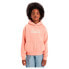 LEVI´S ® KIDS Poster Logo hoodie