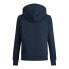 JACK & JONES Logo hoodie