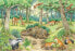 Ravensburger Ravensburger Why? For what reason? Why? Animals in the forest and on the meadow, jigsaw puzzle (2x 12 parts, with knowledge poster)