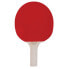 SPOKEY TRAINING 81918 table tennis bats