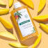 AL MANGO nourishing shampoo for dry hair 400 ml