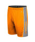 Men's Tennessee Orange Tennessee Volunteers Panel Shorts