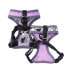 CERDA GROUP Disney Villanas Harness