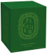 Green Candle Figuier