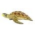 SAFARI LTD Loggerhead Turtle Figure