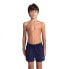 ARENA Bywayx R Swimming Shorts