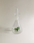 Vegetable borosilicate cruet