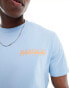 Napapijri Alikas t-shirt in light blue