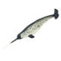 SAFARI LTD Narwhal Figure