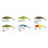 SALMO Bullhead minnow 6g 60 mm