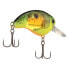 Shimano Green Chart Splatter WORLD RUSH FLASH BOOST Crankbait (WR56FGCS) Fish...