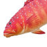 GABY Coral Trout Pillow