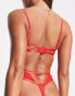 Bluebella sabina wired body in red