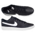 Nike Court Royale 2 Low