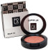 Pola Cosmetics Blush