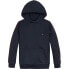 TOMMY HILFIGER KB0KB09054 hoodie