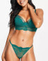 Dorina Icon nylon blend string lace thong in emerald green