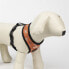 CERDA GROUP Star Wars Harness