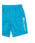 Шорты Champion Big Boys Mesh Active