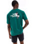 The North Face Expedition Stickers backprint oversized t-shirt in dark green exclusive to ASOS