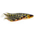 WESTIN Shad Teez Soft Lure 56g 190 mm