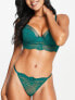 Dorina Icon nylon blend string lace thong in emerald green