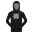 ALPINE PRO Segius hoodie