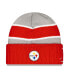 Men's Gray Pittsburgh Steelers 2024 NFL Pro Bowl Cuffed Knit Hat