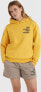 O Neill Damska Bluza FUTURE SURF SOCIETY HOODIE