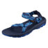 Teva 1019390CWMIN