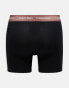 Calvin Klein cotton stretch boxer briefs 3 pack in black with coloured waistband