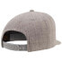 FLEXFIT Classic Cap