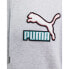 Puma Fandom Hoodie TR M 536114-04