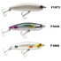 STR Walter Topwater Stickbait 20g 100 mm