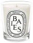 Mini Candle Baies