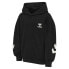 HUMMEL Due hoodie