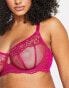 Dorina Curve – Desiree – Nicht wattierter Spitzen-BH in Fuchsia