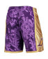 Men's Purple Los Angeles Lakers Hardwood Classics Lunar New Year Swingman Shorts