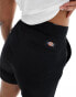 Dickies phoenix shorts in black