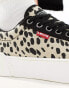 Levi's Tijuana trainer with logo in leopard print