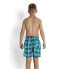 SPEEDO Boombastic Printed Leisure 15´´ Swimming Shorts