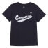 Converse Scripted Wordmark Tee