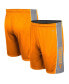 Men's Tennessee Orange Tennessee Volunteers Panel Shorts