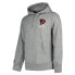 SUPERDRY Sport Modern Franchise hoodie